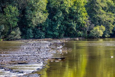 Nehir manzarası ve güzel bir manzara.