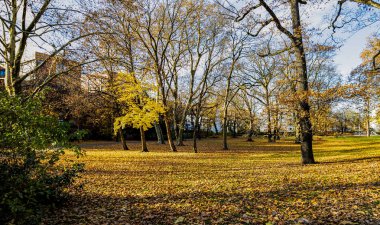 Münih parkında sonbahar. Almanya.