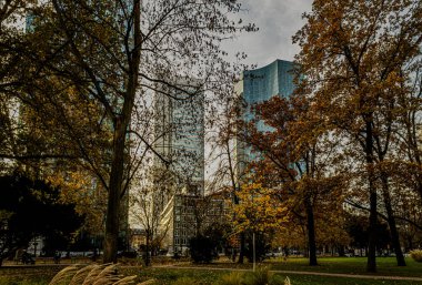 İyi akşamlar, parktan iş merkezine sonbahar manzarası, Frankfurt am Main.