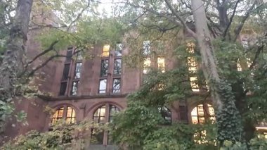 En temiz nehir Almanya 'nın Freiburg im Breisgau şehrinden geçer.