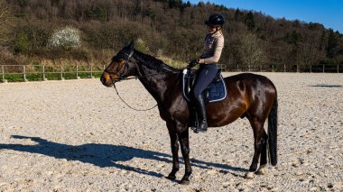 Kahverengi atlı güzel bir kadın ormanda at eğitiminde.