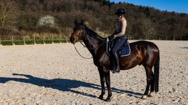 Ormanda kahverengi atlı bir kadın.