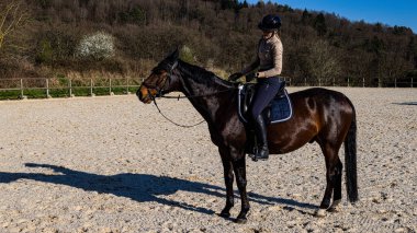 Güneşli bir günde, ormanda ata binen güzel genç bir kadın.