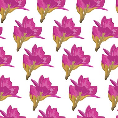 Beyaz arka planda pembe çiçekli egzotik yeşil yapraklar. Çiçek vektör illüstrasyonu