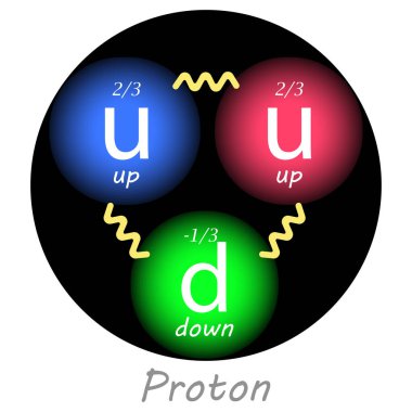 Proton with two up quarks, one down quark, their charges and the forces between them. Educational vector illustration clipart