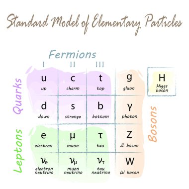 Temel parçacıkların standart modelinin tablosu. Eğitim vektörü illüstrasyonu