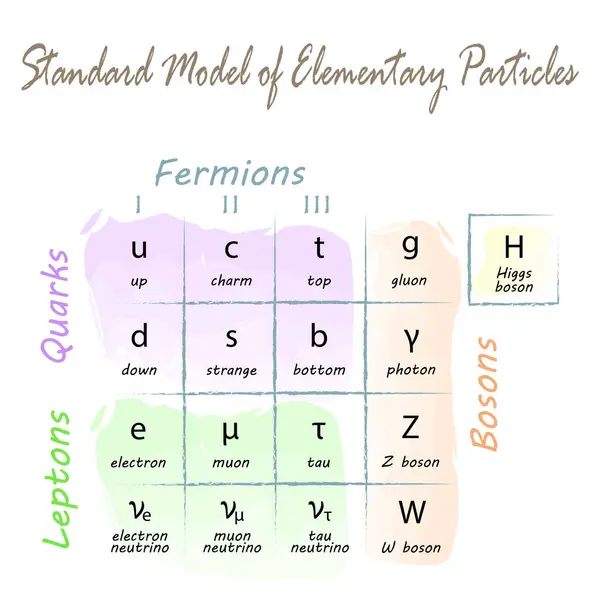 stock vector Table of the standard model of elementary particles. Educational vector illustration