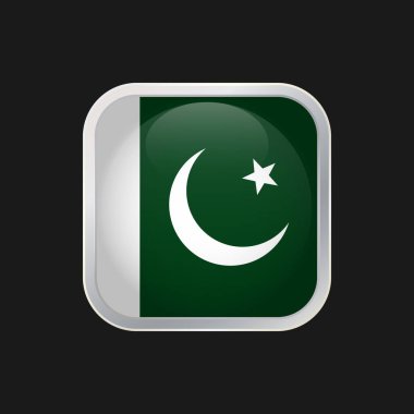 Pakistan bayrağı simgesi siyah arkaplanda izole edildi. Pakistan ulusal bayrağı. Yuvarlak köşeli ve gümüş kenarlıklı kare vektör simgesi