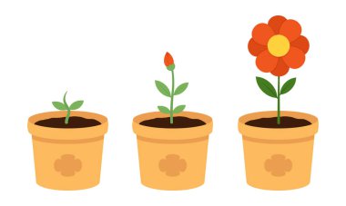 Terracotta kaplarında çiçek yetiştirme aşamaları. Bahçe blogları, eğitim materyalleri, çevre dostu kampanyalar veya bahar temalı projeler için vektör illüstrasyonu