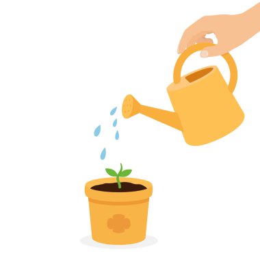 Ot taşıyıcı eko-bakım konseptiyle genç bitkileri elle sulamak. Sarı bir sulama tenekesini tutarken, sarı bir saksıda küçük yeşil bir fidanı nazikçe sularken. Çevre temalı tasarımlar, eğitim materyalleri veya bahçe blogları için düz stil illüstrasyonu