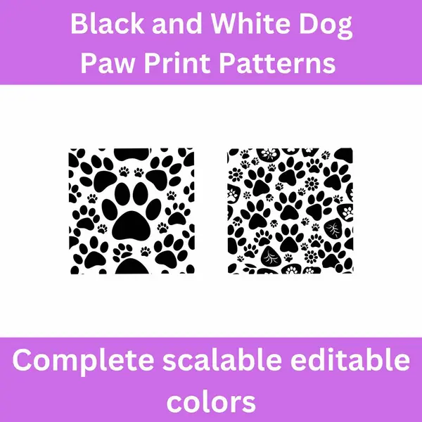 stock vector  Black and White Dog Paw Print Patterns