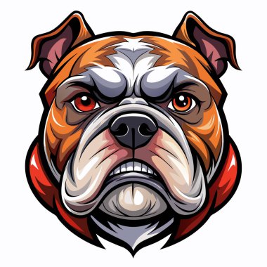 Pitbull, mastif ve İngiliz Bulldog 'un başları.