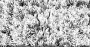 Gradyan akışı ve 3D yapısı ile oluşturulan gri soyut dokunun gölgeleri sıvı veya rüzgarın hareketini taklit eder. Canlı renkler, hacim dalgaları ve dijital gürültü derinlik ve dinamik duygusu yaratır. Arkaplan, kapak, web tasarımı için ideal 