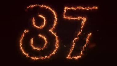 87 numara neon ışığı altında..