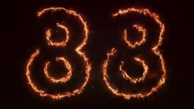88 numara neon ışığı altında.