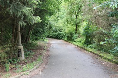 Parkın güzel manzarası