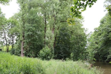 Parktaki nehrin güzel manzarası