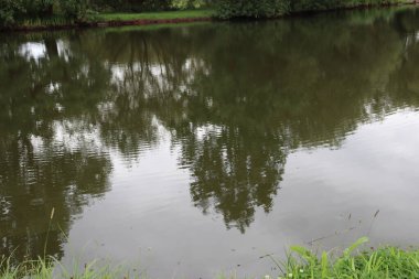 Şehirdeki nehrin güzel manzarası