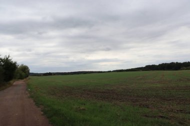 Tarlanın ortasındaki köy yolu..