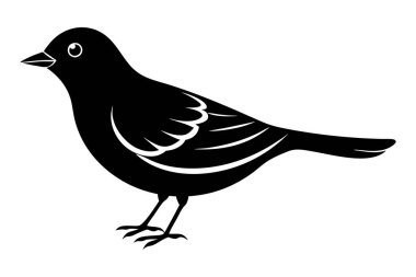 Beyaz arkaplandaki bir kuşun vektör çizimi