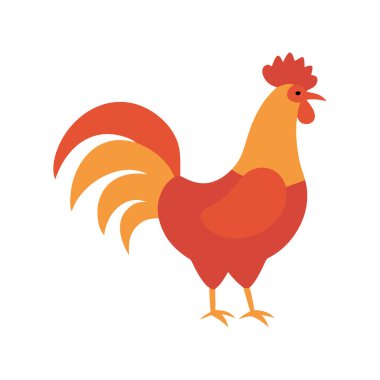 Horoz vektör simgesi. Beyaz arkaplanda izole edilmiş düz stil illüstrasyon. Pankart, logo ve yazdırma için tasarım.