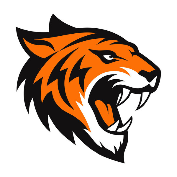 vector image of tiger head on white backgound.