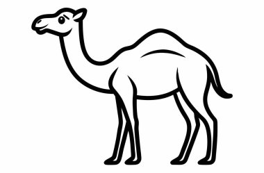 deve, hayvan, vektör, resimleme