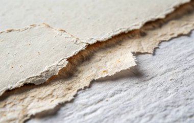 beyaz arkaplanda kağıt parçaları.