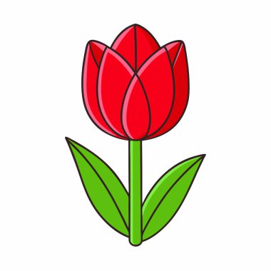 çiçek lale vektör illüstrasyonu