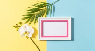 Boş fotoğraf çerçeveli çerçeve ve pastel arka planda tropikal bitkiler. yaz ve yaz konsepti.