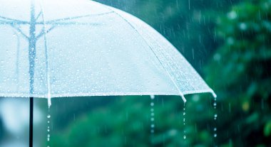 Su damlalı şemsiye.