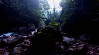 Şelalede Günbatımı Serenity. Günbatımının altın rengi şelaleyi büyülü bir ışıltıyla boyar. Huzurlu ve huzurlu bir atmosfer yaratır..