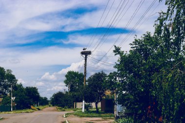 Şehirdeki eski terk edilmiş ev, leylek, yol, sokak, gökyüzü, binalar.