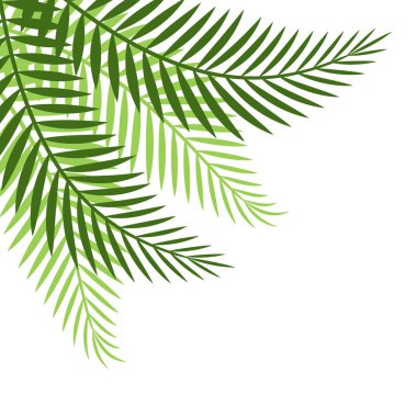 Avuç İçi Yaprağı Sınırı Dekorasyonu