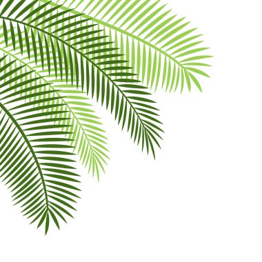 Avuç İçi Yaprağı Sınırı Dekorasyonu