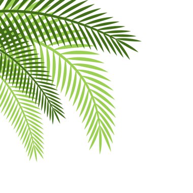 Avuç İçi Yaprağı Sınırı Dekorasyonu