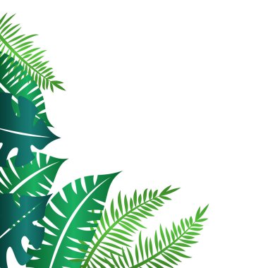 Tropikal Yaprak Sınırı Dekorasyonu