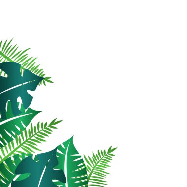 Tropikal Yaprak Sınırı Dekorasyonu