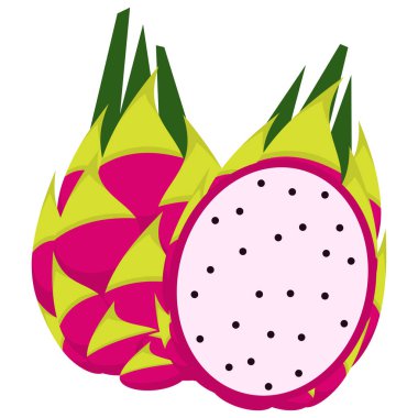 Modern Ejder Meyvesi Çizimi