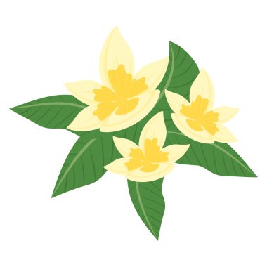 Yaprak İllüstrasyonlu Bali Çiçeği