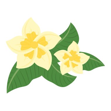 Yaprak İllüstrasyonlu Bali Çiçeği