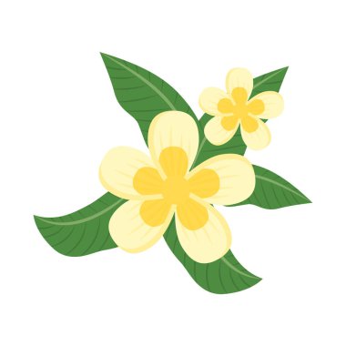 Yaprak İllüstrasyonlu Bali Çiçeği