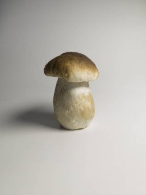 Beyaz dikey arkaplanda taze boletus mantarları.
