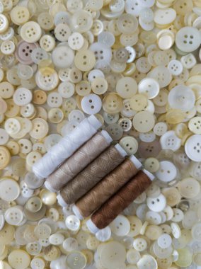 Beyaz arka planda birçok beyaz dikiş düğmesi, terzilik stüdyosu için yakın çekim