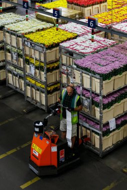 AALSMEER, NETHERLANDS - 06 Eylül 2022. Aalsmeer Çiçek Müzayedesi dünyanın en büyük çiçek açık artırmasıdır; burada her gün yaklaşık 20 milyon çiçek satılır.. 
