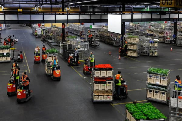 AALSMEER, NETHERLANDS - 06 Eylül 2022. Aalsmeer Çiçek Müzayedesi dünyanın en büyük çiçek açık artırmasıdır; burada her gün yaklaşık 20 milyon çiçek satılır.. 