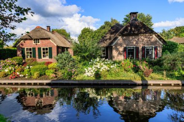 Hollanda 'nın Giethoorn köyündeki su kanalında yemyeşil çimenleri olan geleneksel Hollandalı tuğla evler.