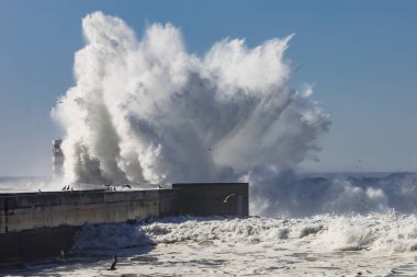 Porto 'daki deniz feneri. Portekiz. Okyanusta güçlü bir fırtına.
