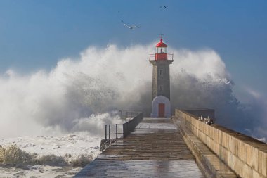 Porto 'daki deniz feneri. Portekiz. Okyanusta güçlü bir fırtına.