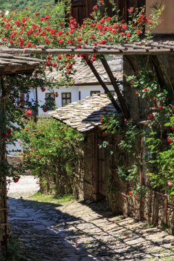 Bulgaristan 'ın Blagoevgrad Bölgesi, Otantik 19. yüzyıl evleriyle Kovaçevitsa köyü